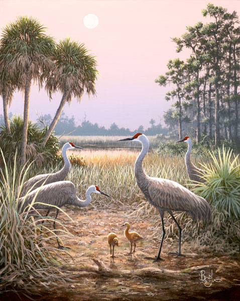 Crane Family