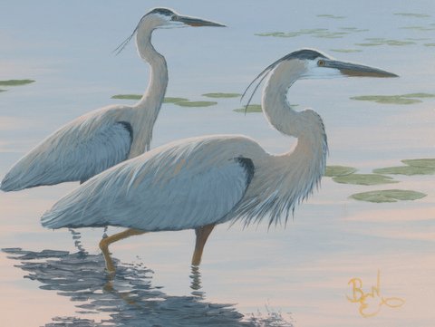 Color Study - Great Blues